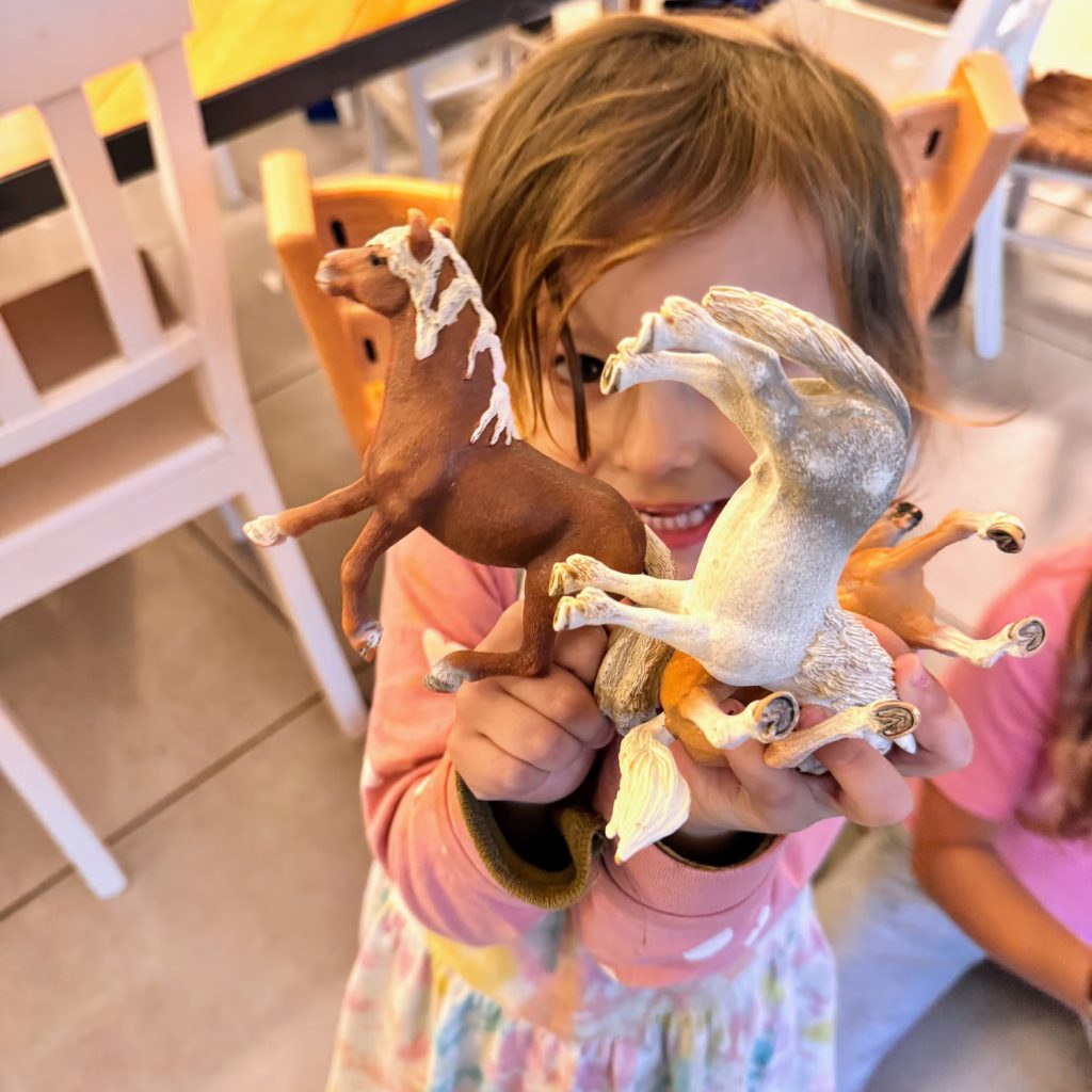 montessori granice