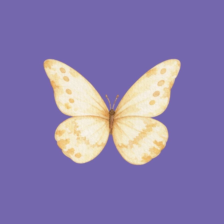 Leptir