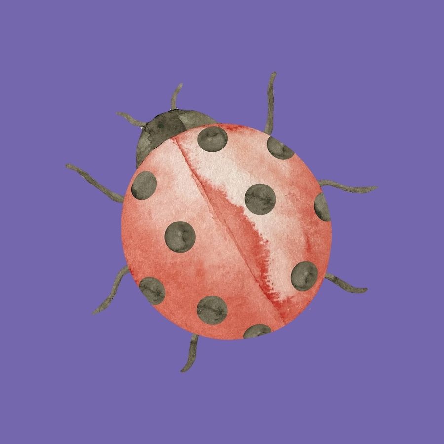 Crtaj s Pipom