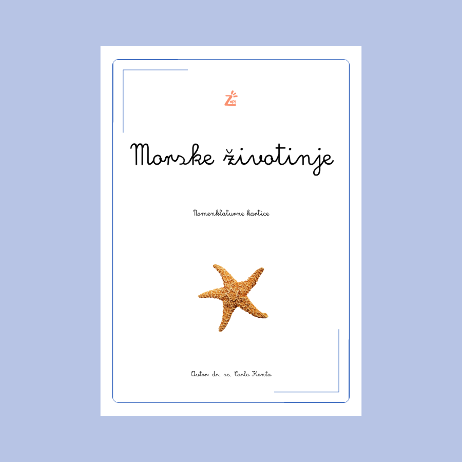 Montessori aktivnosti