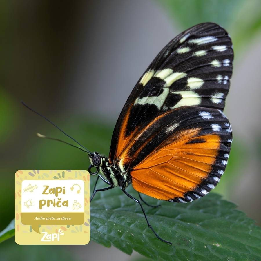 Zapi priča
