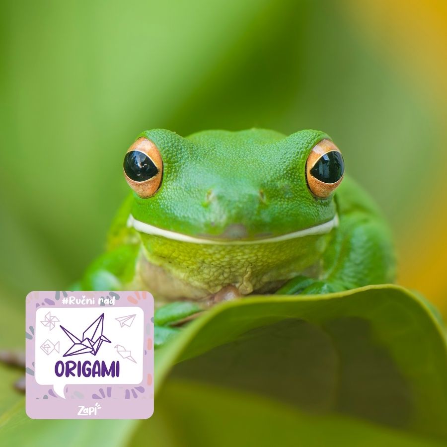 Origami