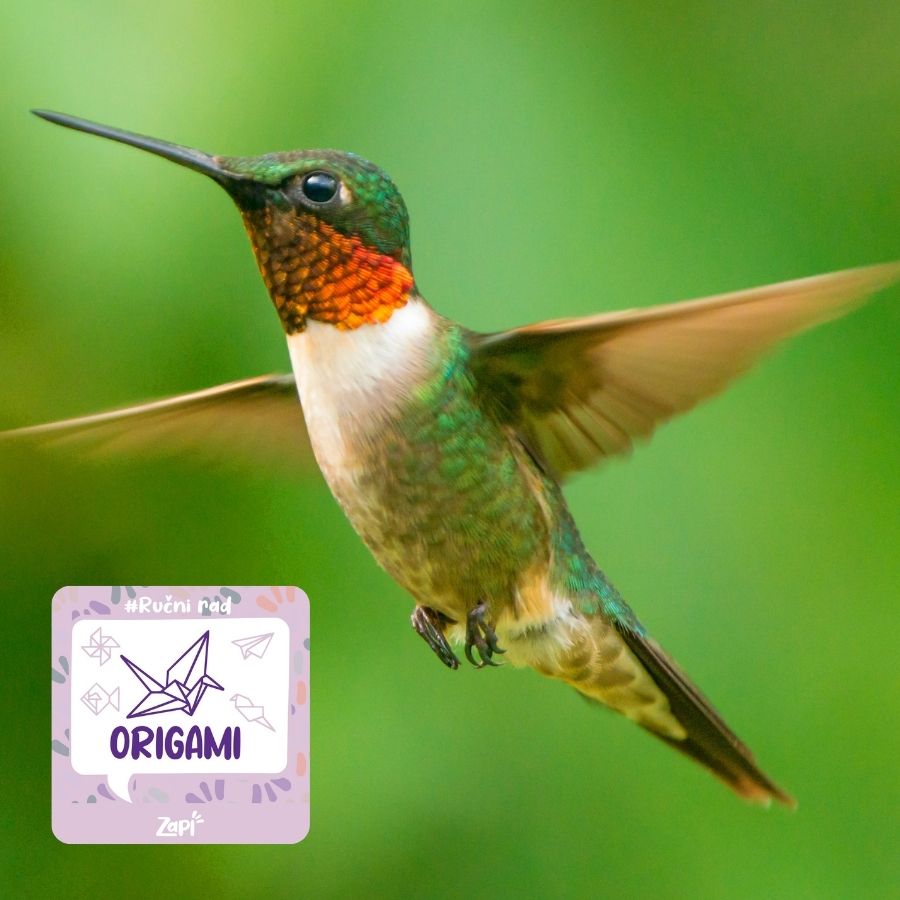 Origami