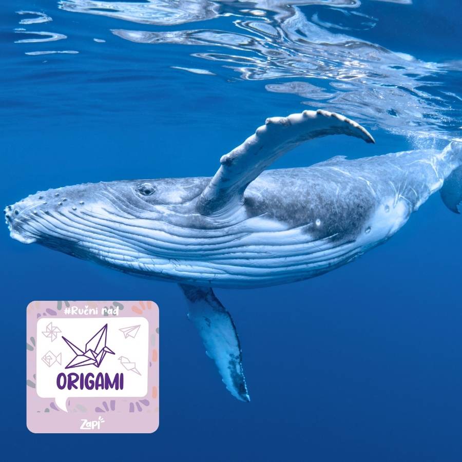 Origami