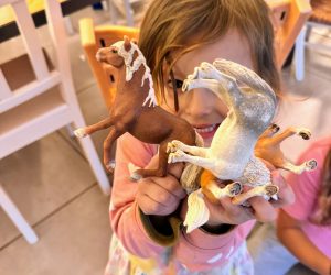 montessori granice